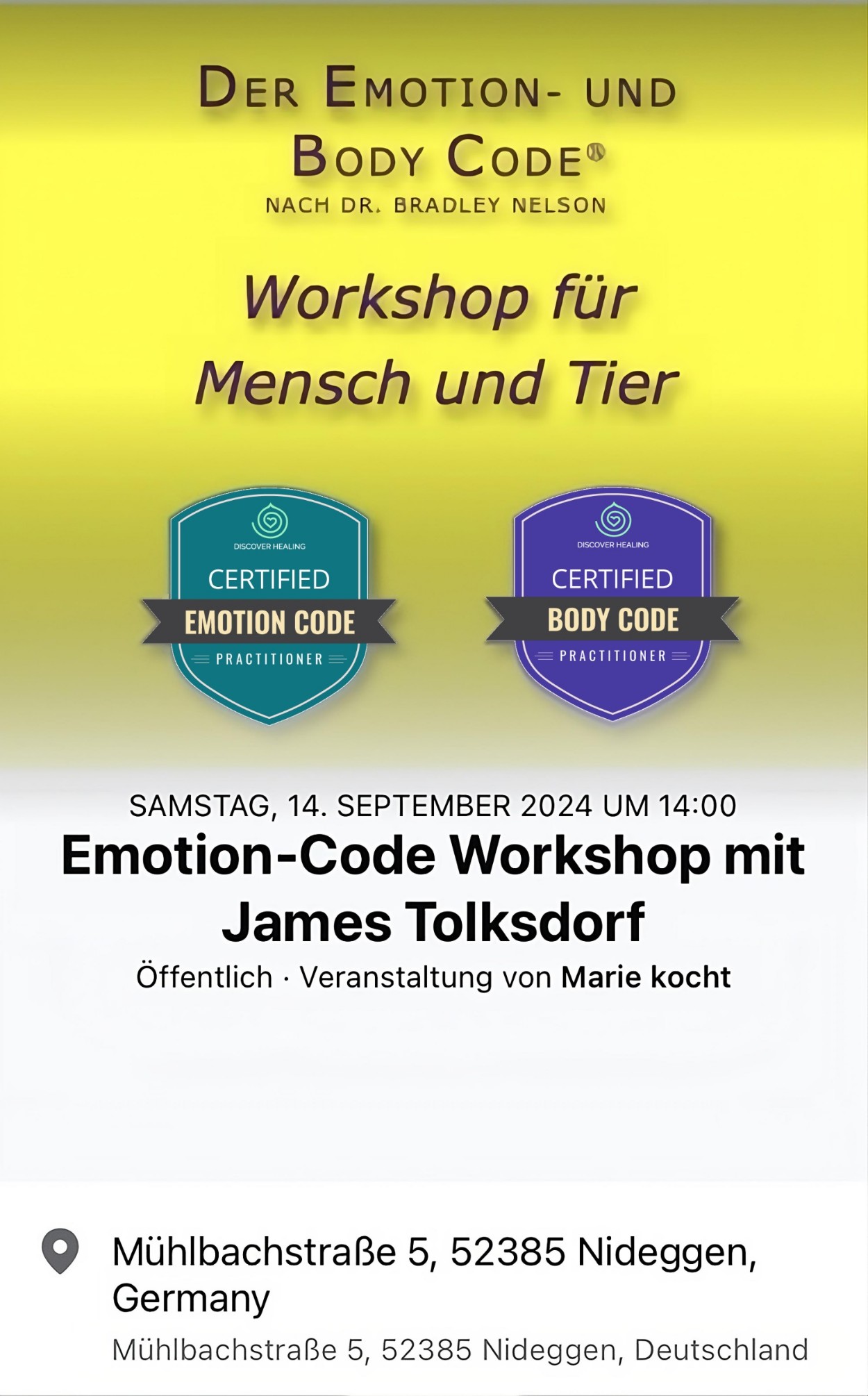 Emotion-Code Workshop mit James Tolksdorf